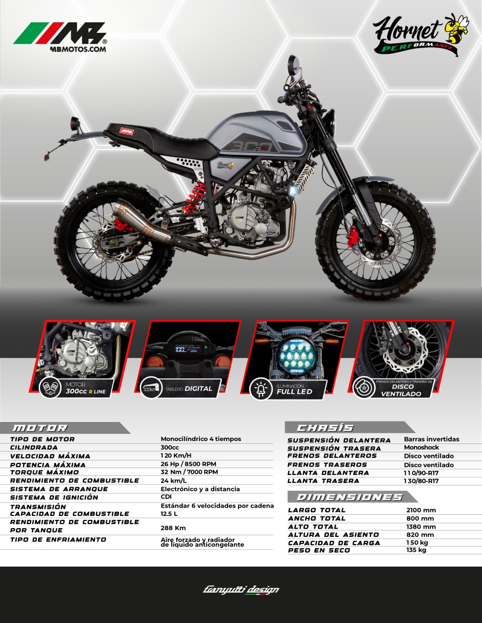 Motocicleta doble propósito hornet 300cc 2025 10