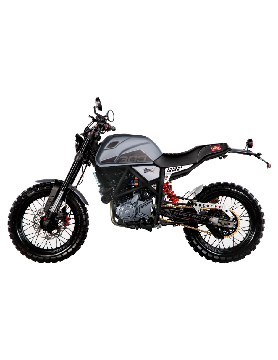 Motocicleta urbana Hornet 300 PE 2026 3