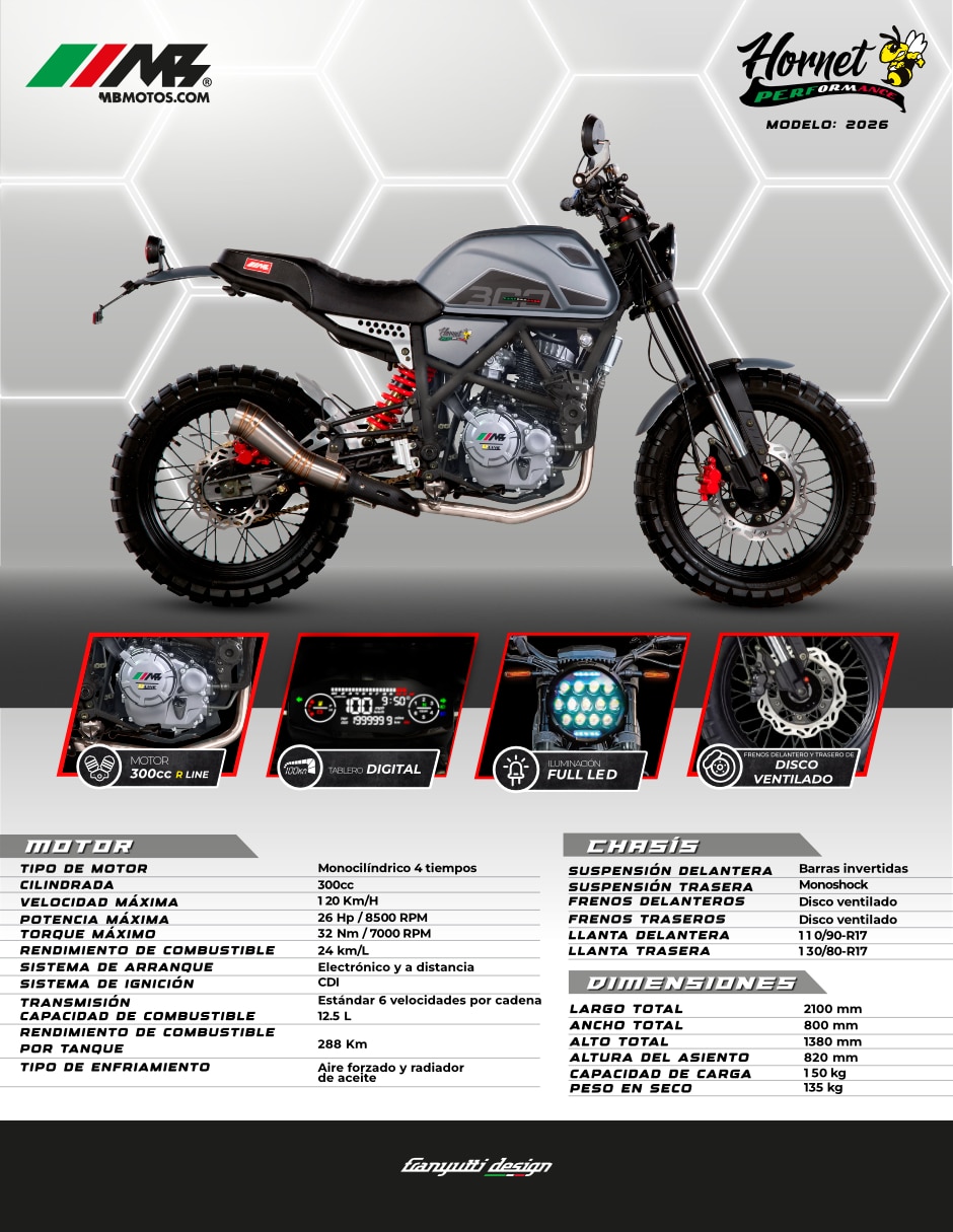 Motocicleta urbana Hornet 300 PE 2026 5