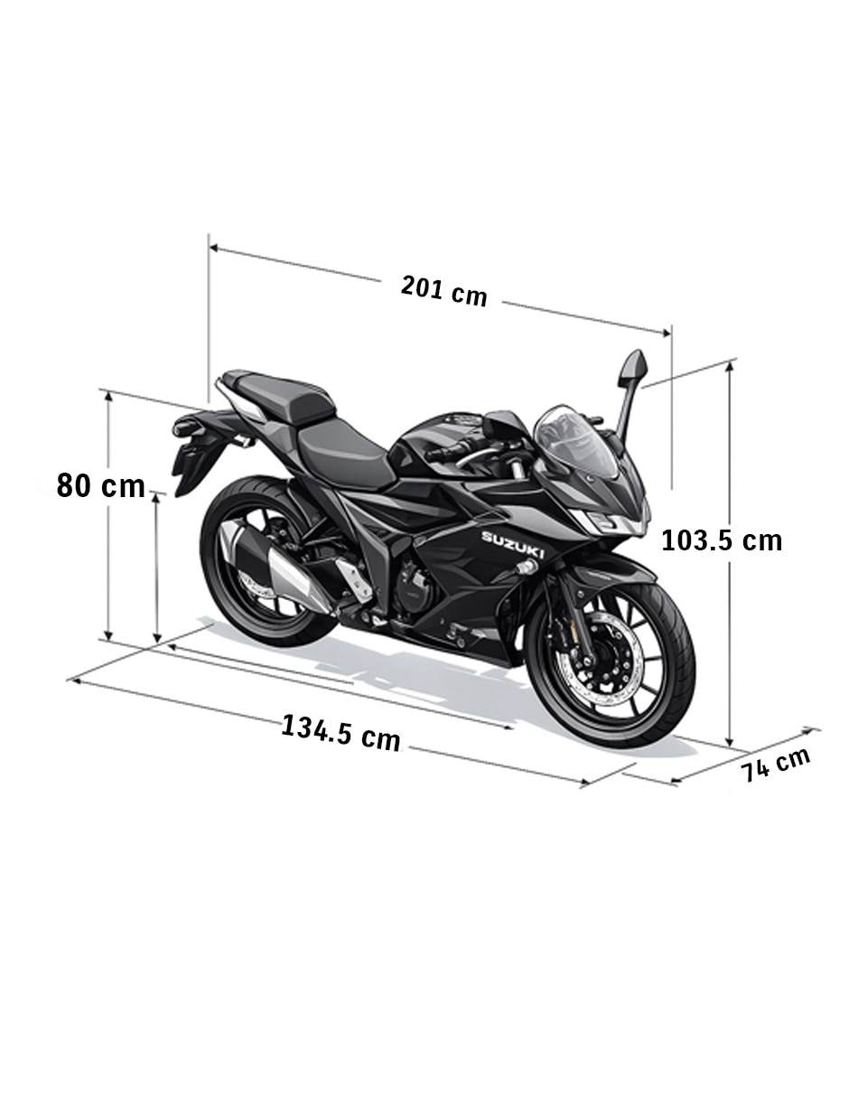 Motocicleta deportiva SUZ 2026 GIXXER 250CC NEGRO 2026 9